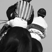 photographie cheval de course