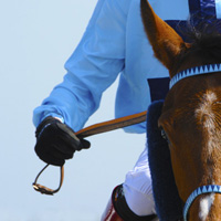 photographie cheval de course